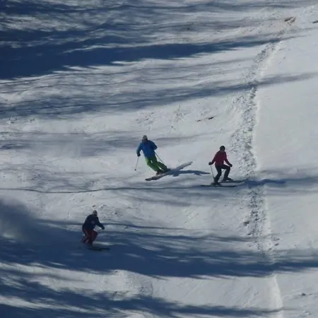Gasthof Rieseralm ゲストハウス Obdach