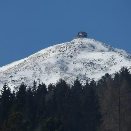 Gasthof Rieseralm *