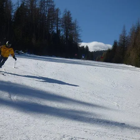 ゲストハウス Gasthof Rieseralm