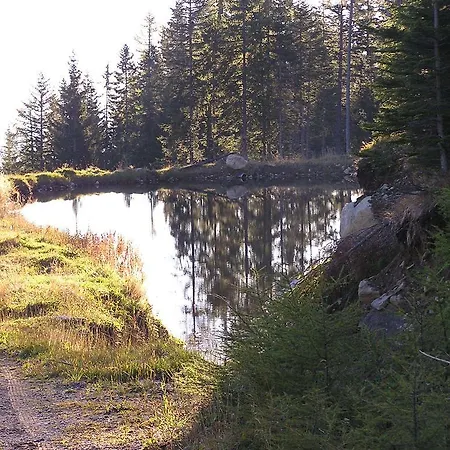 Gasthof Rieseralm