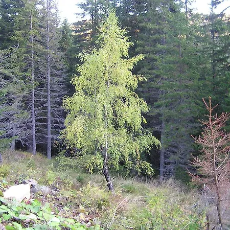 Gasthof Rieseralm