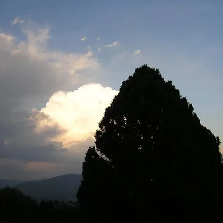 ゲストハウス Gasthof Rieseralm