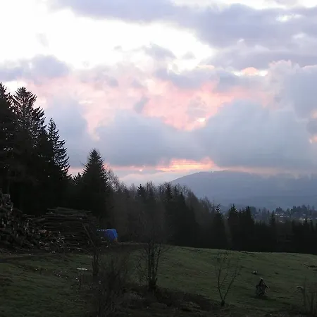 Gasthof Rieseralm *