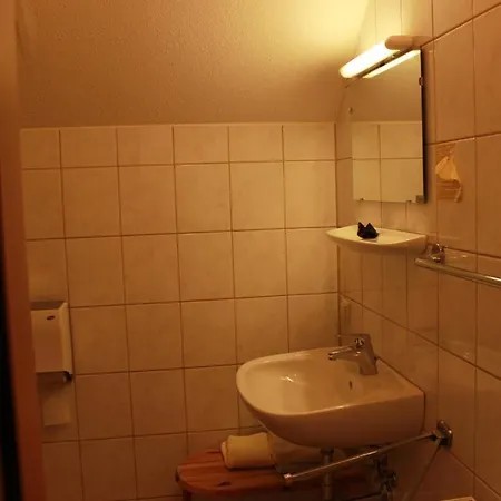 Gasthof Rieseralm * Obdach